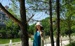 七大叔论坛图片大全